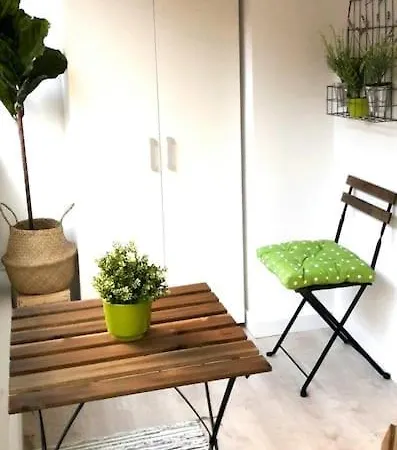 Centro. Office, Gastro, Ocio & Alicante